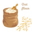 Oat flour in canvas bag, measured wooden scoop and oat golden ear isolated on white background. Royalty Free Stock Photo