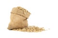 Oat grains with husk or hulls in burlap bag Royalty Free Stock Photo