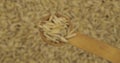 Oat grains in a spoon. Refocusing from a spoonful of grain to a pile of grain. Rotation.