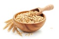 Oat grains in wooden bowl with scoop on white background Royalty Free Stock Photo