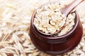 Oat groat in wooden spoon, oatmeal grain for healthy diet on oat ears plants background