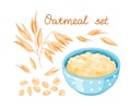 Oat meal set. Cartoon style for healthy food design. Bowl, oatmeal ear and flake. Vector illustration isolated on white