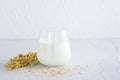 Oat milk in a glass, ears and scattered dry oatmeal on a light table. Alternative plant food. Copy space