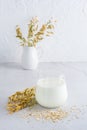 Oat milk in a glass, ears and scattered dry oatmeal on a light table. Alternative plant food. Vertical view