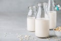 Oat Milk in glass. Vegan non dairy oat milk on gray stone background