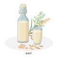 Oat milk in jug and glass. Plant milk, vegan milk concept. Vector illustration isolated on white background. Alternative