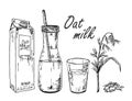 Oat milk. Vegetable milk sketch. Oat milk in a bag, in a bottle, in a glass. Ears of corn and oats. Morning drink
