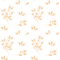 Oat pattern vector. Cereal plants. Oatmeal packaging design.