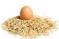 Oat pile and egg Royalty Free Stock Photo