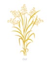 Oat plant. Avena sativa. Bunch of orange ripe and dry grass. Agronomy cereal grain. Vector agricultural illustration.