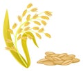 Oat plant with seeds. Cereal grain crop icon Royalty Free Stock Photo