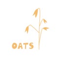 Oat plants. Agriculture wheat Logo Template vector icon design. Oat groats flakes isolated on white background. Flat illustration