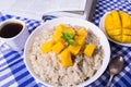 Oat porridge with fresh mango in the white bowl Royalty Free Stock Photo