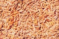 Oat seed top view Royalty Free Stock Photo