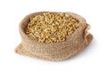 Oat seeds Avena sativa