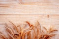 Oat spikelet. Wheat grain ear or rye spike plant isolated on brown wood plank background, for cereal bread flour. Whole, barley,
