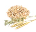 Oat and wheat flakes with herb.