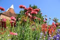 Blue sky and one of the gardens in Great Dixter House & Gardens in the summer. Royalty Free Stock Photo