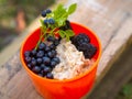 Oatmeal with blueberries in an orange plate on the nature in the forest. Hiker`s breakfast