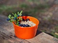 Oatmeal with blueberries in an orange plate on the nature in the forest. Hiker`s breakfast