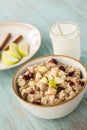 Oatmeal Breakfast Cereal With Milk and Apples and Cranberries Royalty Free Stock Photo