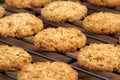 Oatmeal cookies Royalty Free Stock Photo