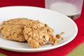 Oatmeal Cookies Royalty Free Stock Photo