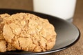 Oatmeal cookies Royalty Free Stock Photo