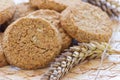Oatmeal cookies Royalty Free Stock Photo