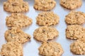 Oatmeal Cookies Royalty Free Stock Photo