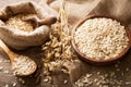 Oatmeal flakes, grains and ears of oat Royalty Free Stock Photo