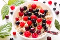 Oatmeal and forest berries close-up