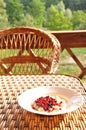 Oatmeal with forest different berries on the terrace table with a beautiful view of nature.