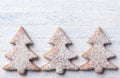 Oatmeal gingerbread cookies in the shape of Christmas tree Royalty Free Stock Photo