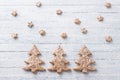 Oatmeal gingerbread cookies in the shape of Christmas tree Royalty Free Stock Photo