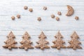 Oatmeal gingerbread cookies in the shape of Christmas tree sprinkled with powdered sugar Royalty Free Stock Photo