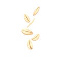 oatmeal grain seed cartoon vector illustration