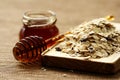 Oatmeal and honey Royalty Free Stock Photo