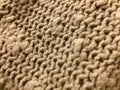 Oatmeal knit