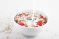 Oatmeal with milk and dried fruit Royalty Free Stock Photo