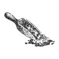 oatmeal oat spoon sketch hand drawn vector Royalty Free Stock Photo