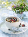 Oatmeal porridge Royalty Free Stock Photo