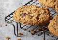 Oatmeal Raisin Cookie on Vintage Wire Cooling Rack