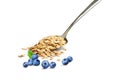 Oatmeal in a spoon  with blueberries Royalty Free Stock Photo