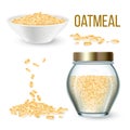 Oatmeal Vegetarian Cereal Porridge Set Vector