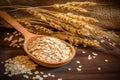 Oatmeal in wooden spoon with ripe oat ears and grains as background. Generative AI