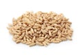 Oats Royalty Free Stock Photo