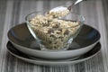 Oats Bowl. Royalty Free Stock Photo