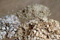 Oats and brown rice Royalty Free Stock Photo