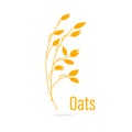 Oats cereals grain.